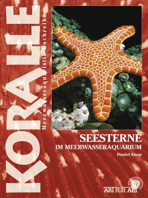 cover image of Seesterne im Meerwasseraquarium